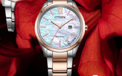 上海西鐵城手表售后維修服務(wù)